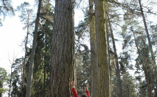 9_Ziglos maumedis_R_Mikitiejevos nuotr_r1.jpg